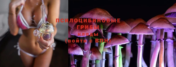 мескалин Арсеньев