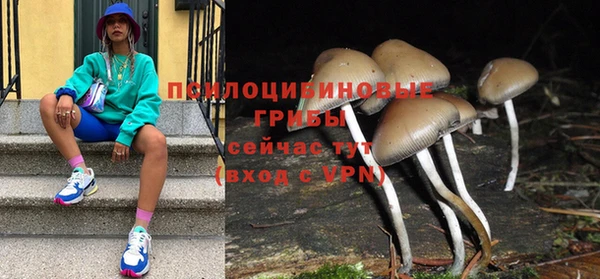 спиды Аркадак