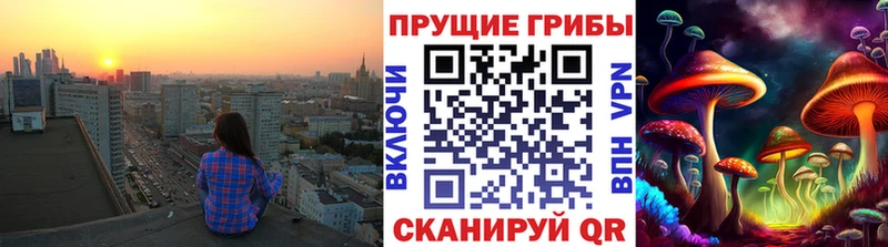 Купить где  Сосновка  Псилоцибиновые грибы Psilocybe 